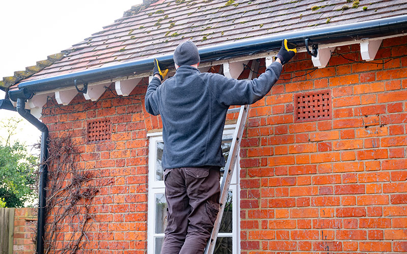 Traitement contre l'humidité à Dottignies